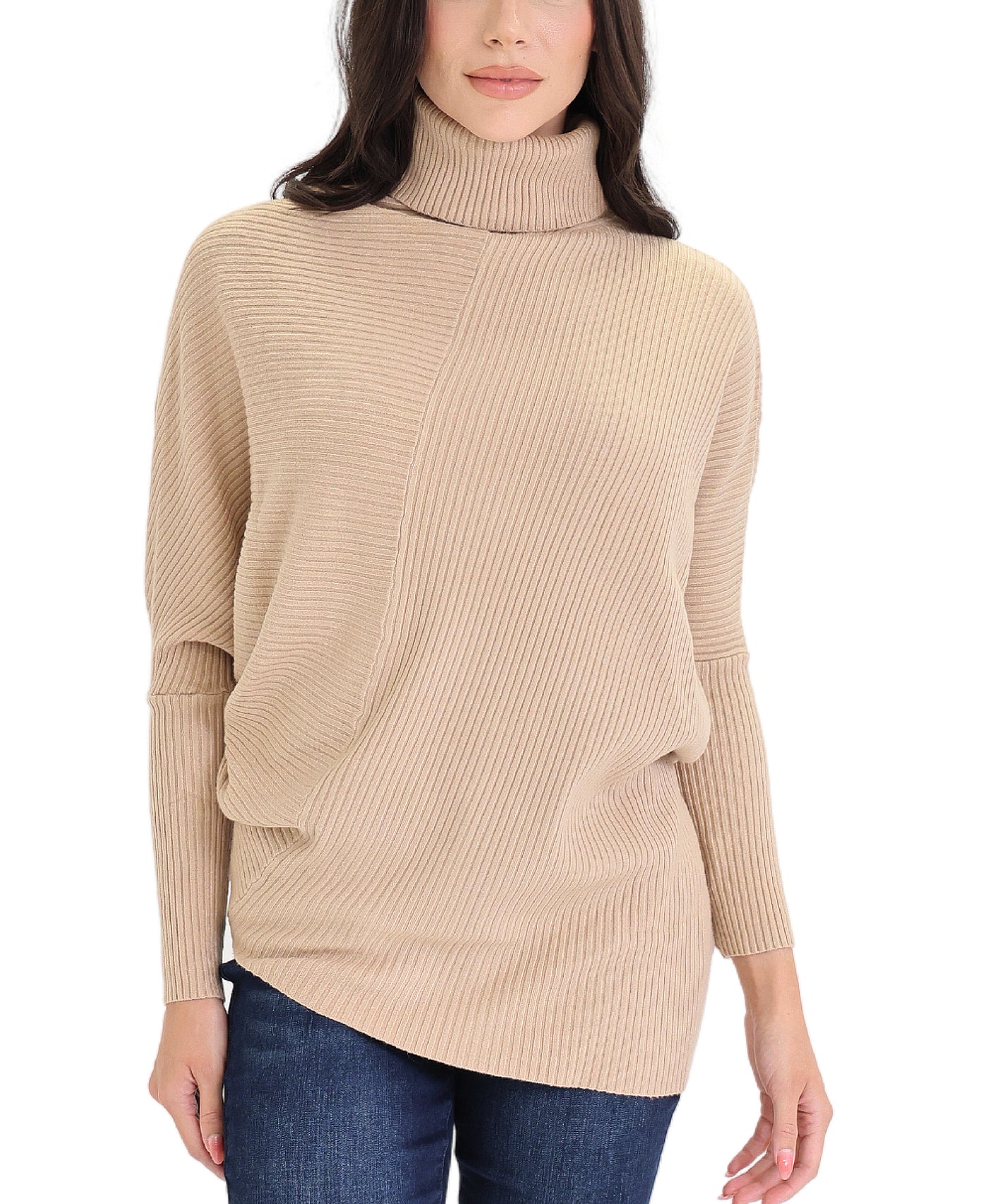 Turtleneck Ribbed Sweater view 1