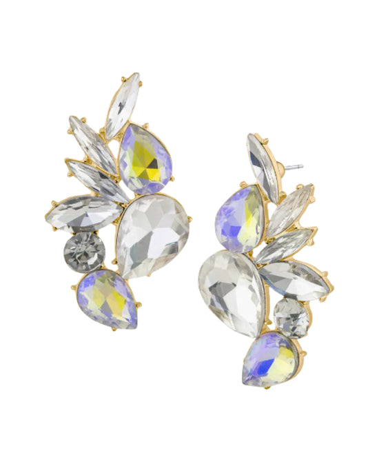 Jewel Drop Earrings view 